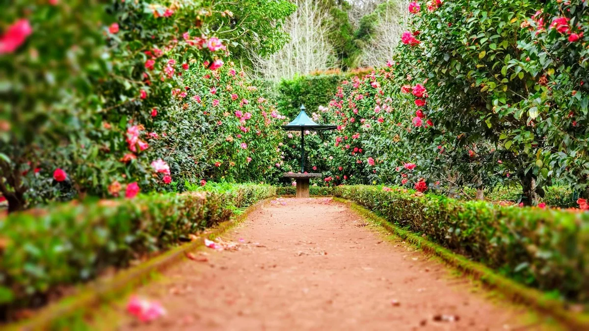 Jardín mantenido en una villa de Marbella